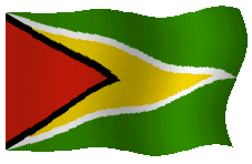 Guyana Flag